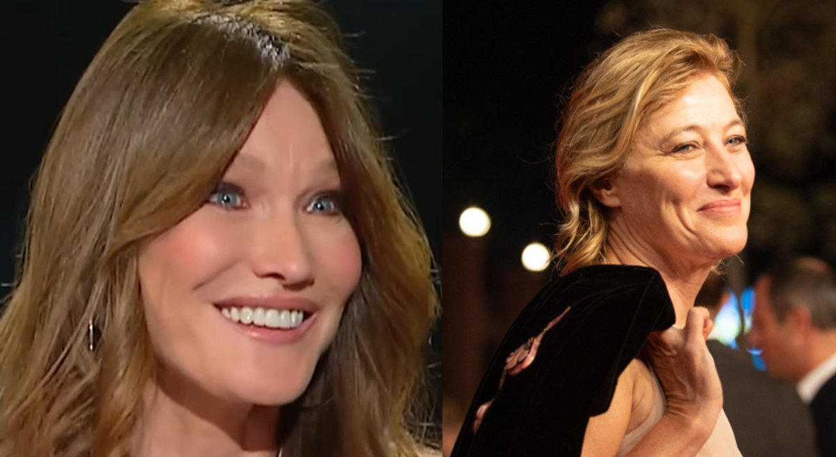 Real Vs. Reel Examines Cinematic Ant Portrayals Scientific Accuracy