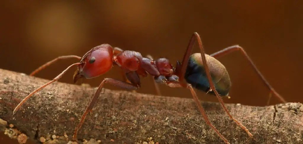 Themes and Symbolism in Ant Movies Reflect Society